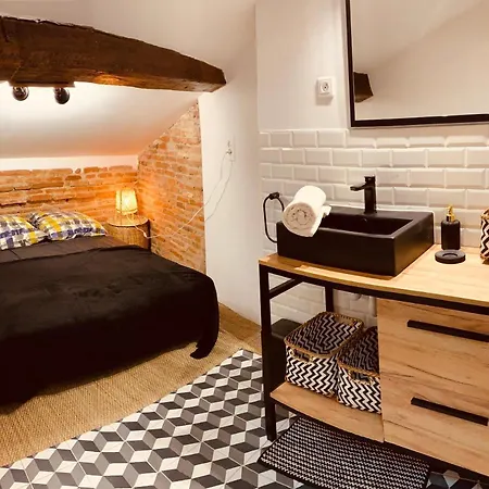 Bien Logé: Loft et appartements d'exception! Montauban