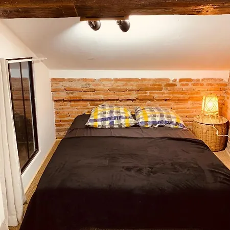 Apartment Bien Loge: Loft Et Appartements D'Exception! Montauban